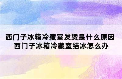 西门子冰箱冷藏室发烫是什么原因 西门子冰箱冷藏室结冰怎么办